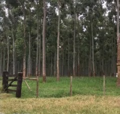 1403 ha en Santa Rita