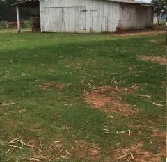 1403 ha en Santa Rita