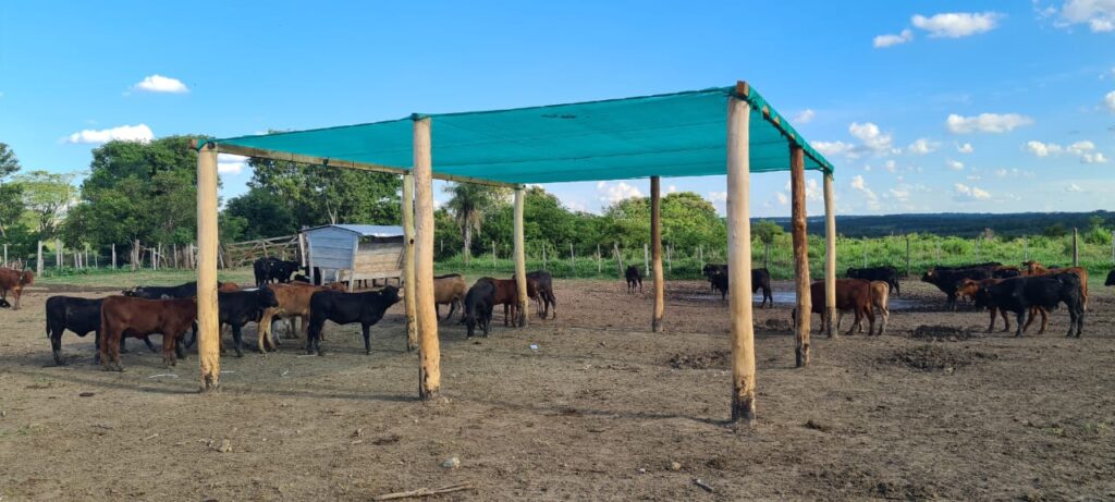 1500 ha Estancia formada en La Paloma