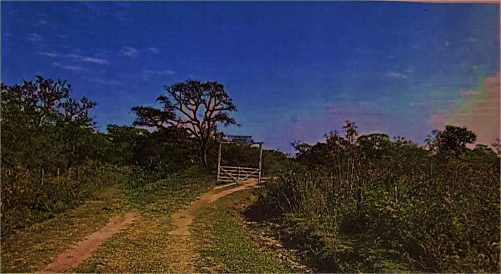 1613 ha Estancia formada en Montiel Potrero, Caapucú,Departamento Paraguarí.