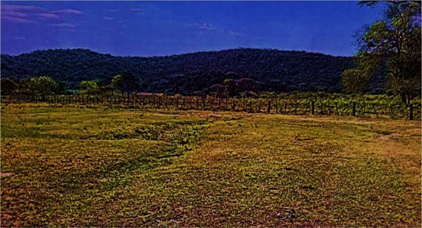 1613 ha Estancia formada en Montiel Potrero, Caapucú,Departamento Paraguarí.