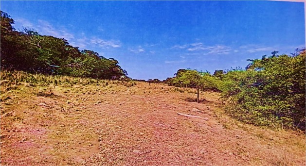 1613 ha Estancia formada en Montiel Potrero, Caapucú,Departamento Paraguarí.
