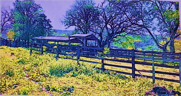 1613 ha Estancia formada en Montiel Potrero, Caapucú,Departamento Paraguarí.