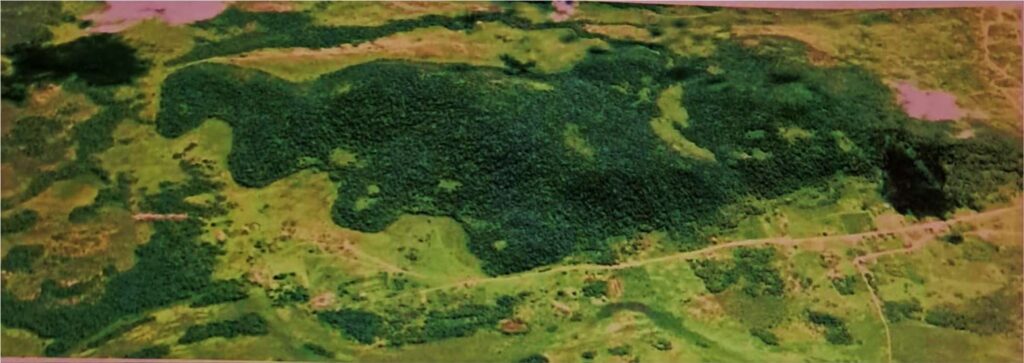 1613 ha Estancia formada en Montiel Potrero, Caapucú,Departamento Paraguarí.