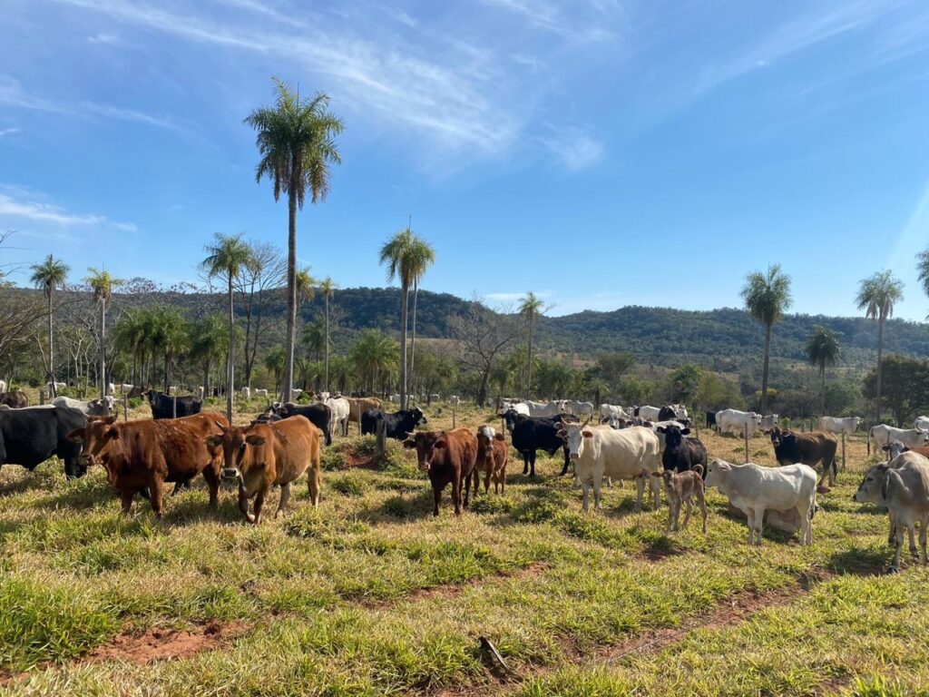 180 ha Campo en Sapukai – Paraguarí
