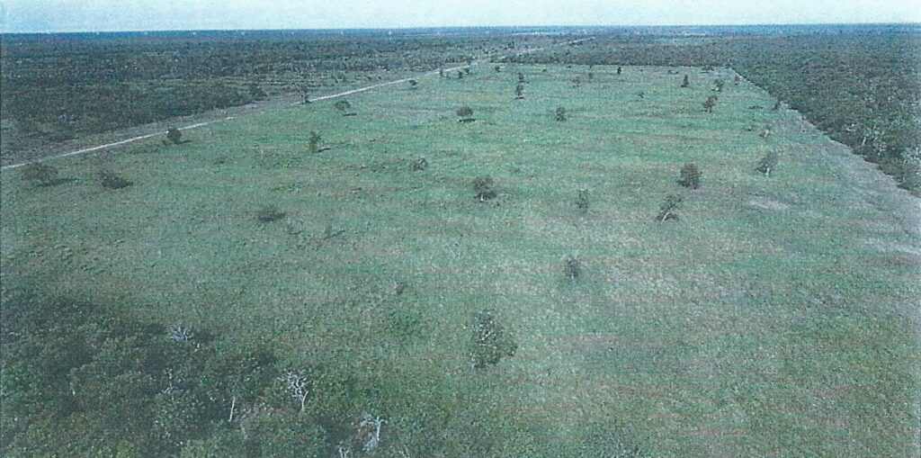 18268 ha – Estancia en Puerto Pinasco
