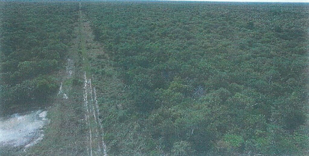 18268 ha – Estancia en Puerto Pinasco