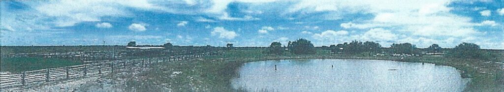 18268 ha – Estancia en Puerto Pinasco