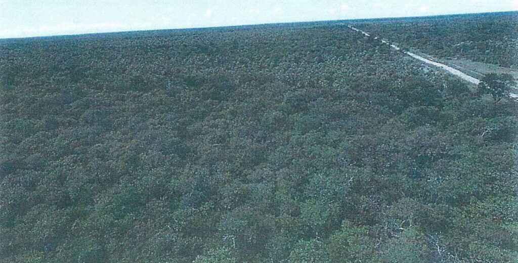 18268 ha – Estancia en Puerto Pinasco
