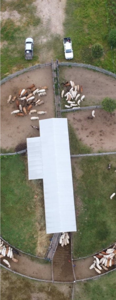 19703 ha Estancia en Bahía Negra Alto Paraguay