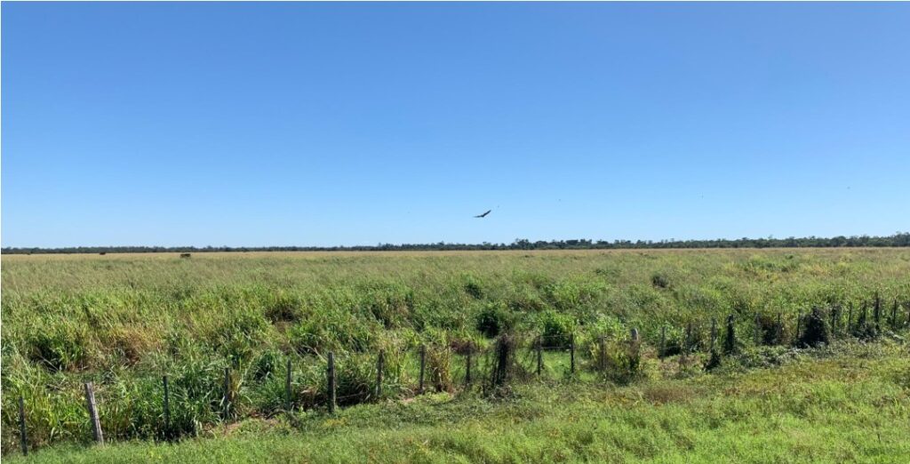 19703 ha Estancia en Bahía Negra Alto Paraguay