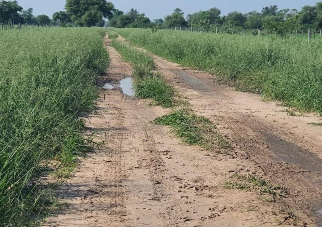 20000 ha Estancia Línea 1 en Bahía Negra