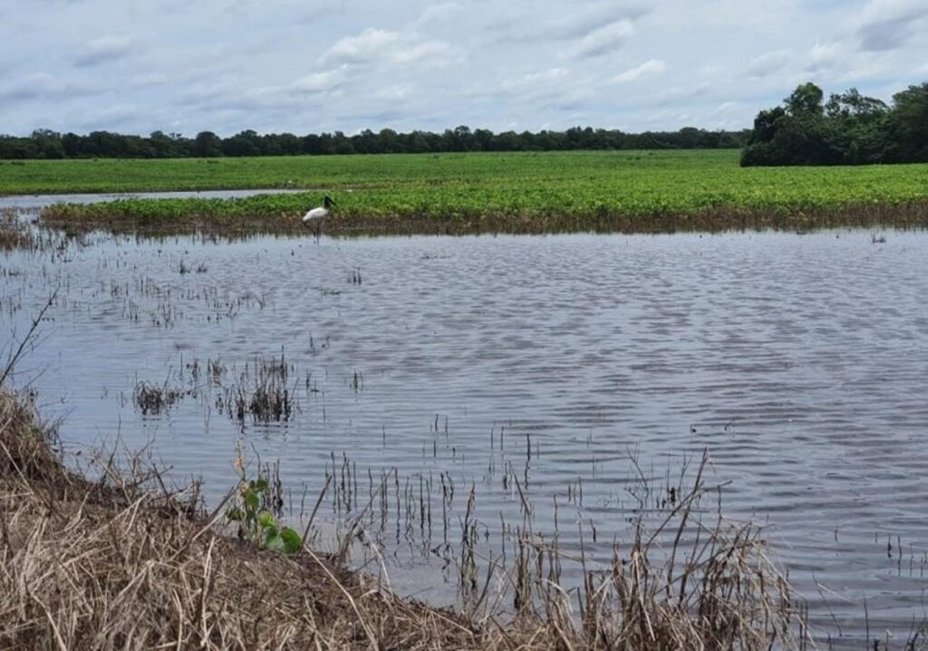 20000 ha Estancia Línea 1 en Bahía Negra