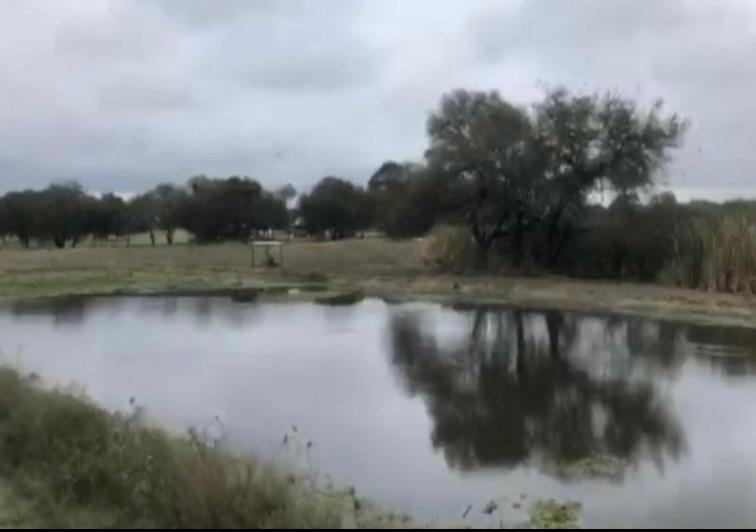 1909 ha Estancia formada en Pdte. Hayes