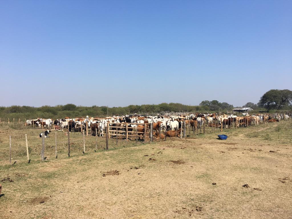 2024 ha Estancia Bajo Chaco