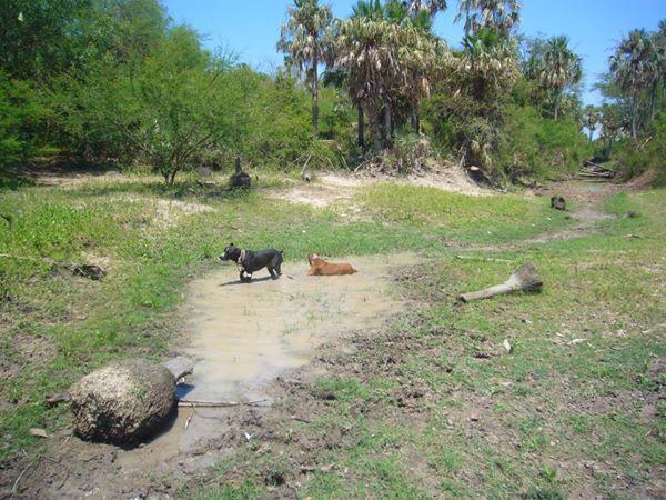 2024 ha Estancia Bajo Chaco