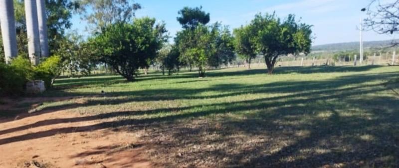 2068 ha Estancia en Tobatí