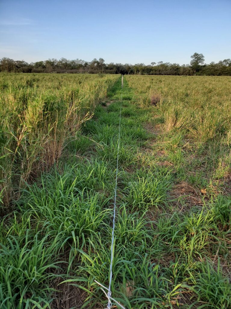 2070 ha Estancia Chaco Central