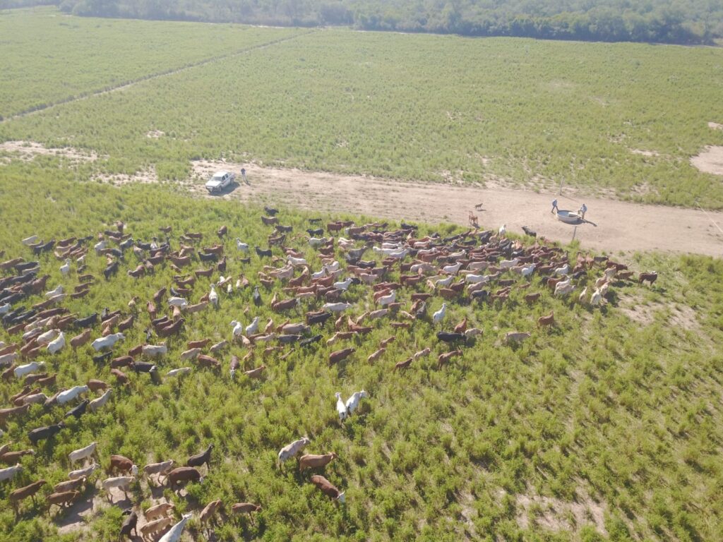 2070 ha Estancia Chaco Central