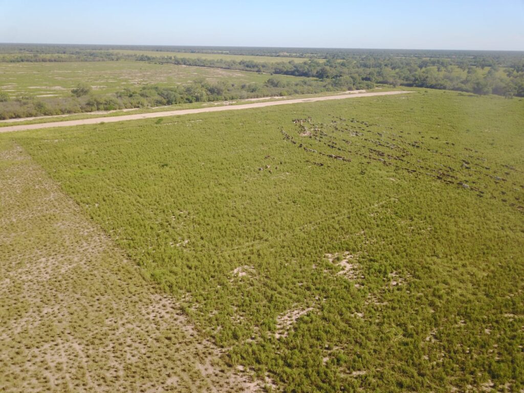 2070 ha Estancia Chaco Central
