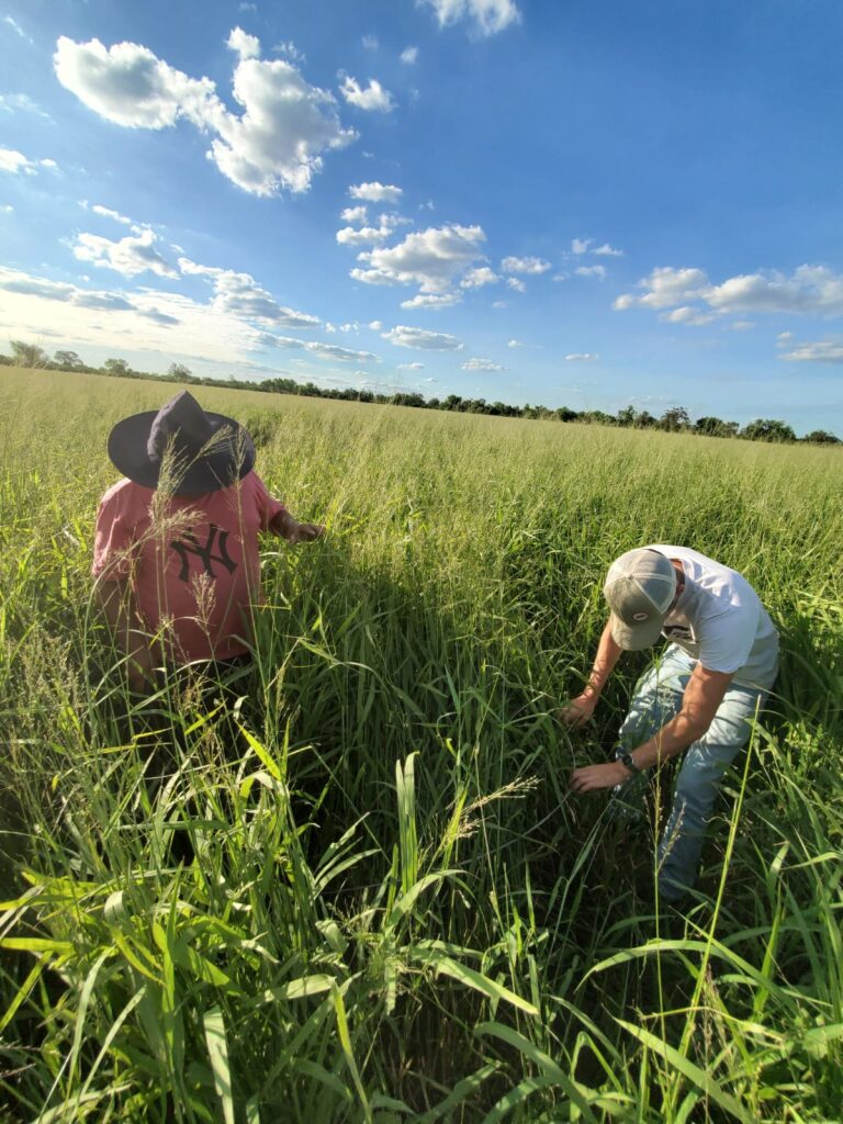 2070 ha Estancia Chaco Central