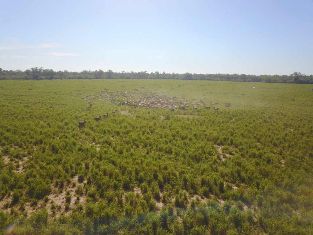 2070 ha Estancia Chaco Central