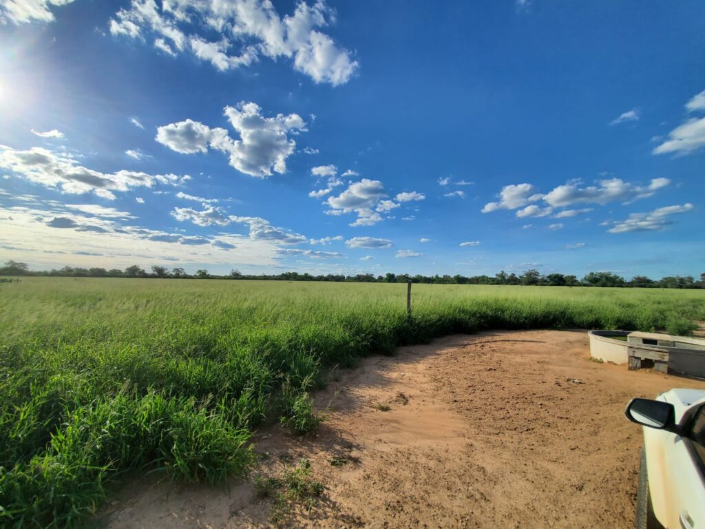 2070 ha Estancia Chaco Central
