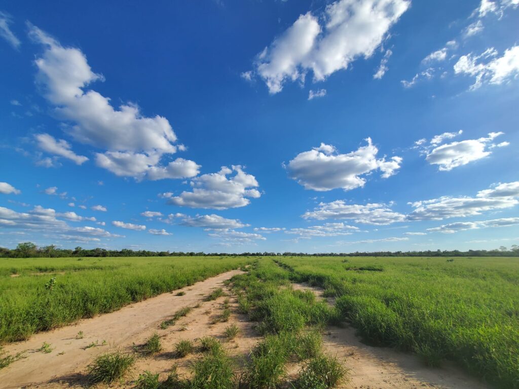 2070 ha Estancia Chaco Central