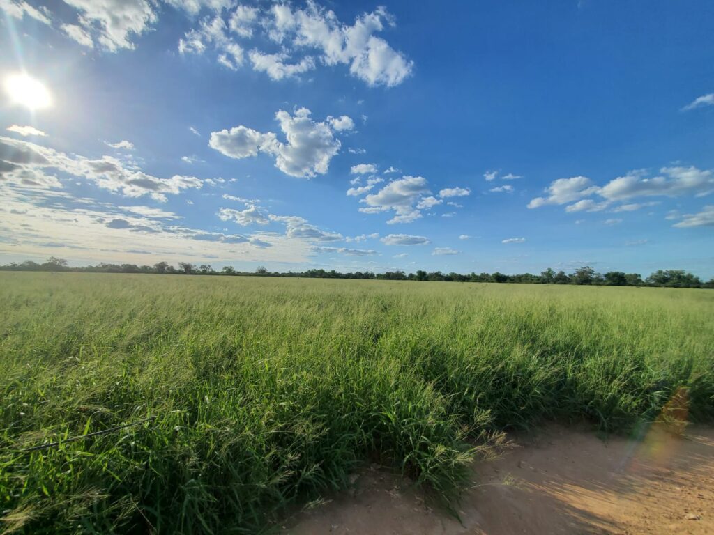 2070 ha Estancia Chaco Central
