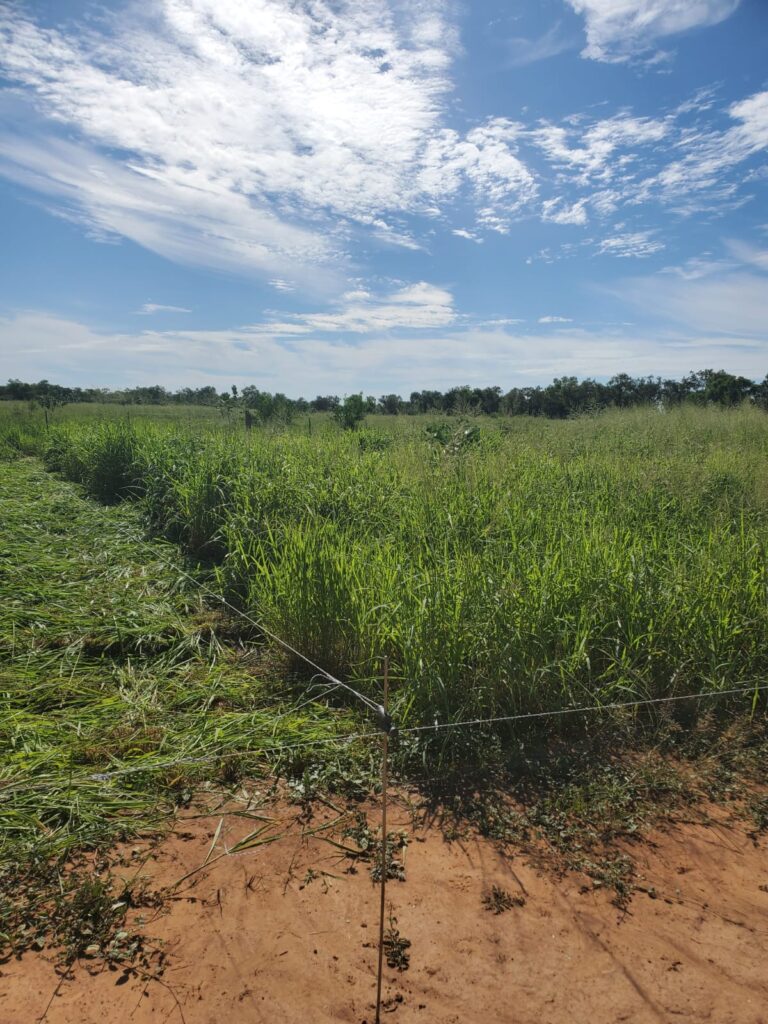 2070 ha Estancia Chaco Central