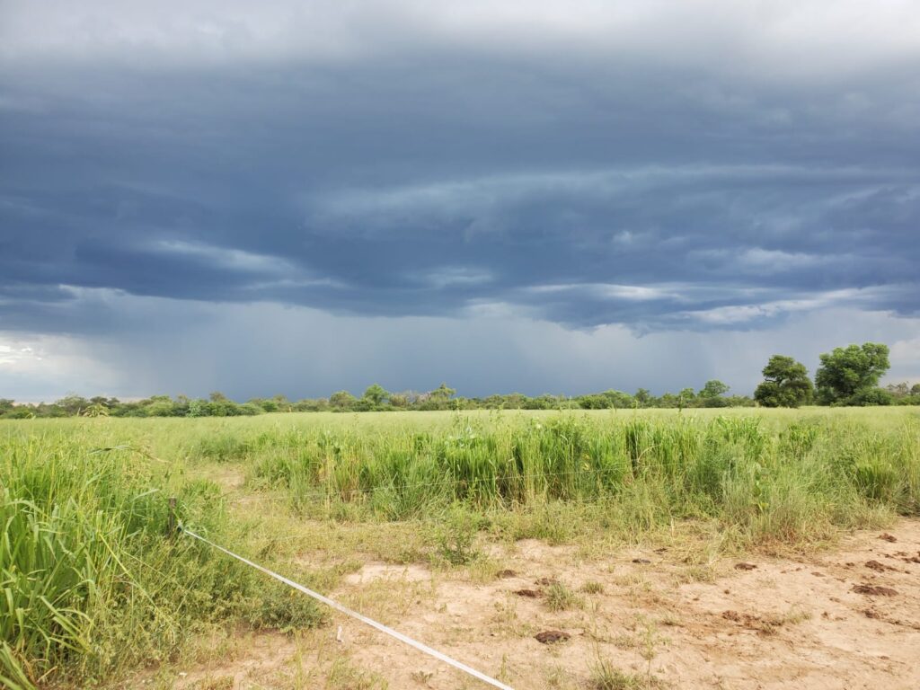 2070 ha Estancia Chaco Central