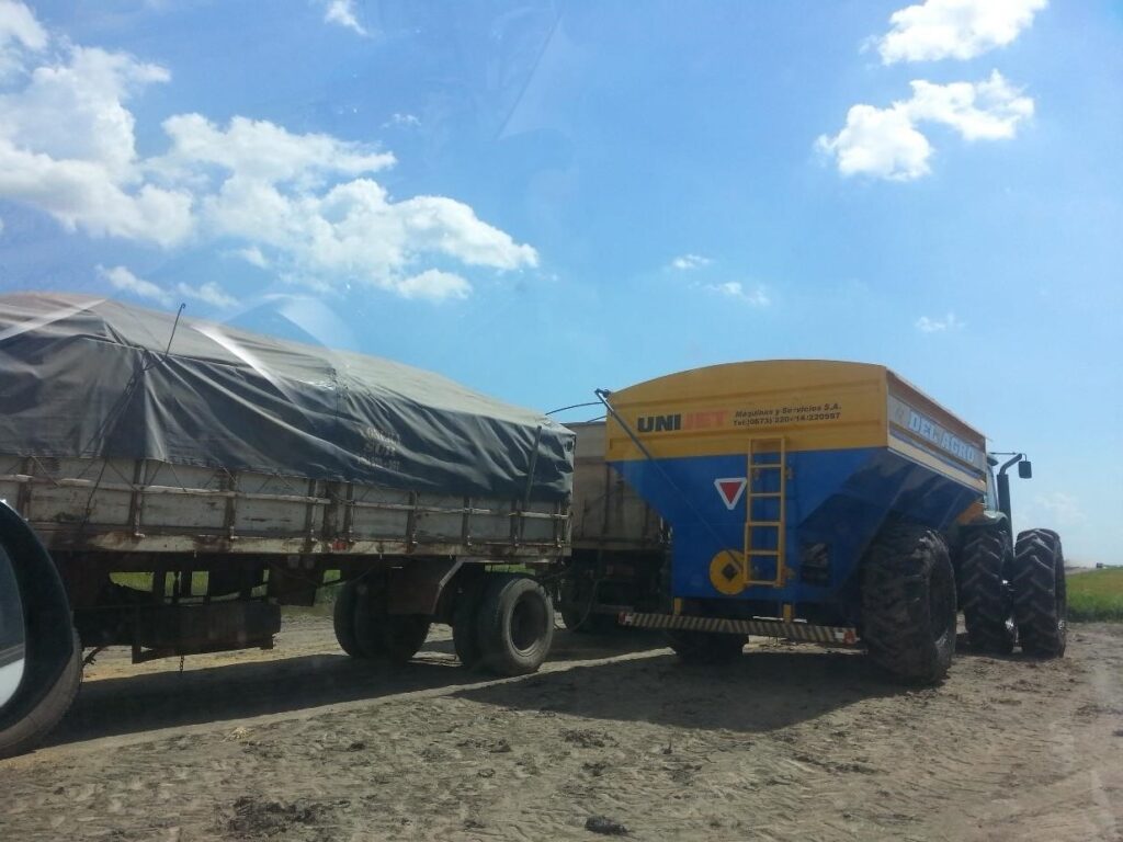 2299 ha en San Ignacio