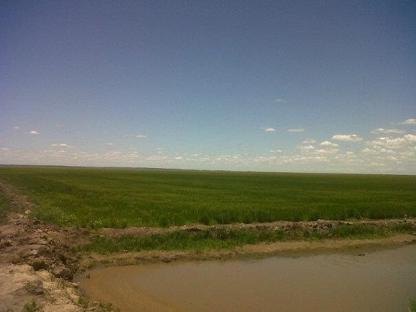 2299 ha en San Ignacio