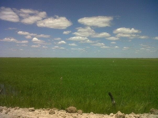 2299 ha en San Ignacio