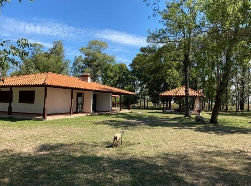 2385 ha Sojal S. Pedro del Paraná