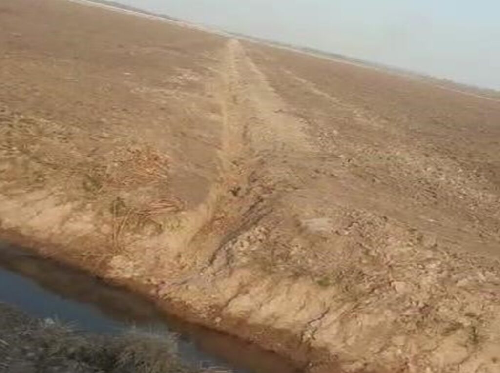 2385 ha Sojal S. Pedro del Paraná
