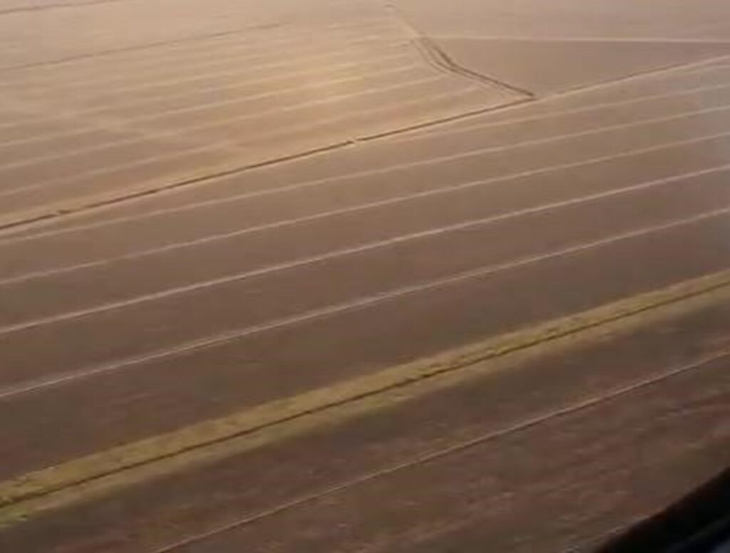 2385 ha Sojal S. Pedro del Paraná