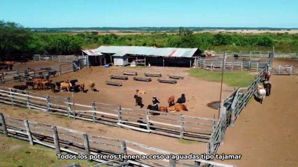 2400 ha San Pedro del Paraná