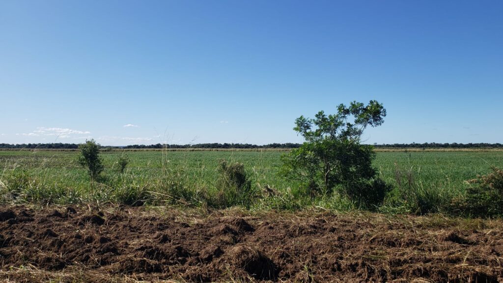 2400 ha San Pedro del Paraná