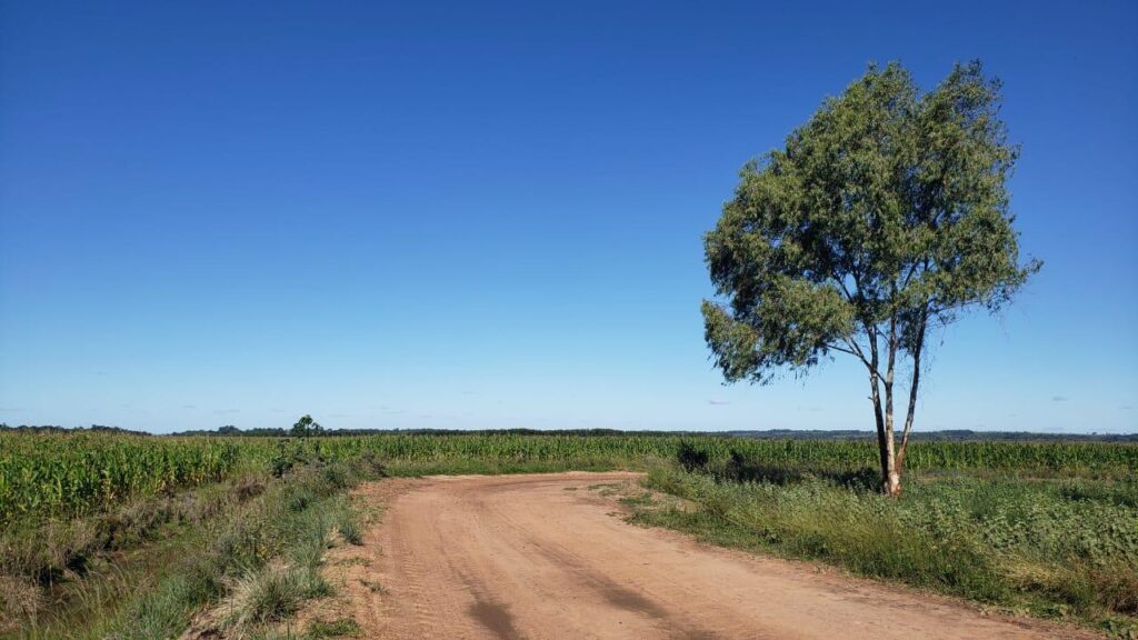 2400 ha San Pedro del Paraná