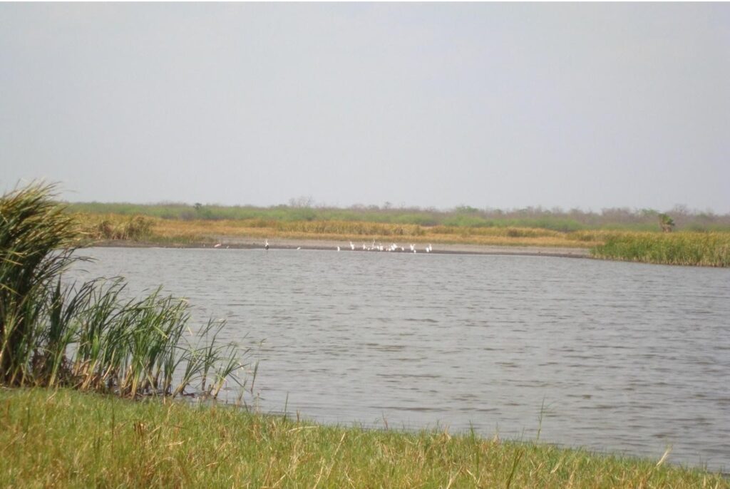24000 ha para Estancia – Puerto Casado