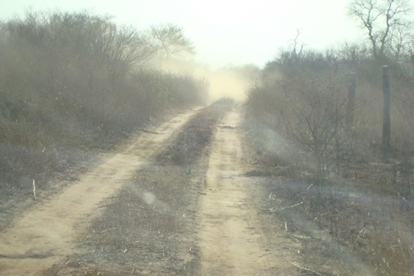 24000 ha para Estancia – Puerto Casado