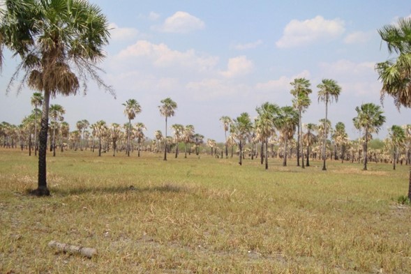 24000 ha para Estancia – Puerto Casado