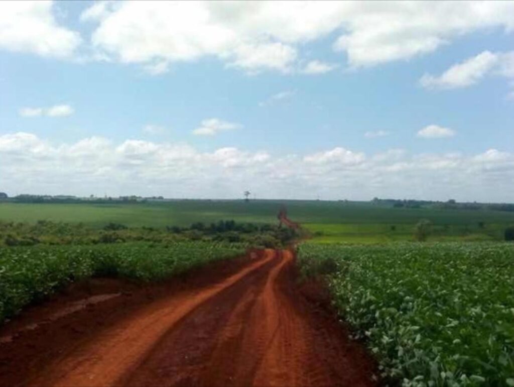 3000 ha Sojal en Alto Paraná