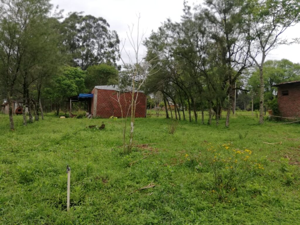 305 ha Hotel rural en San Miguel