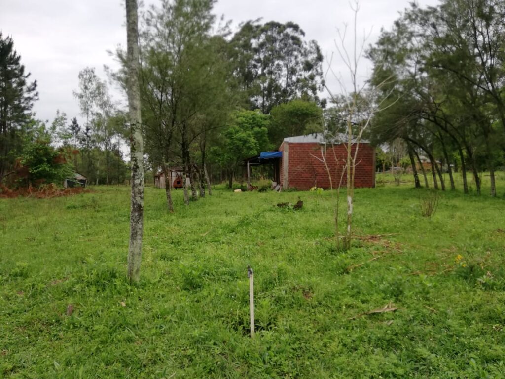 305 ha Hotel rural en San Miguel
