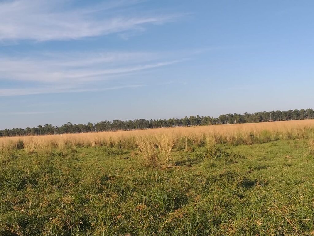 305 ha Hotel rural en San Miguel