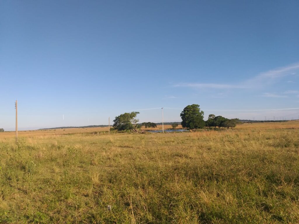 305 ha Hotel rural en San Miguel