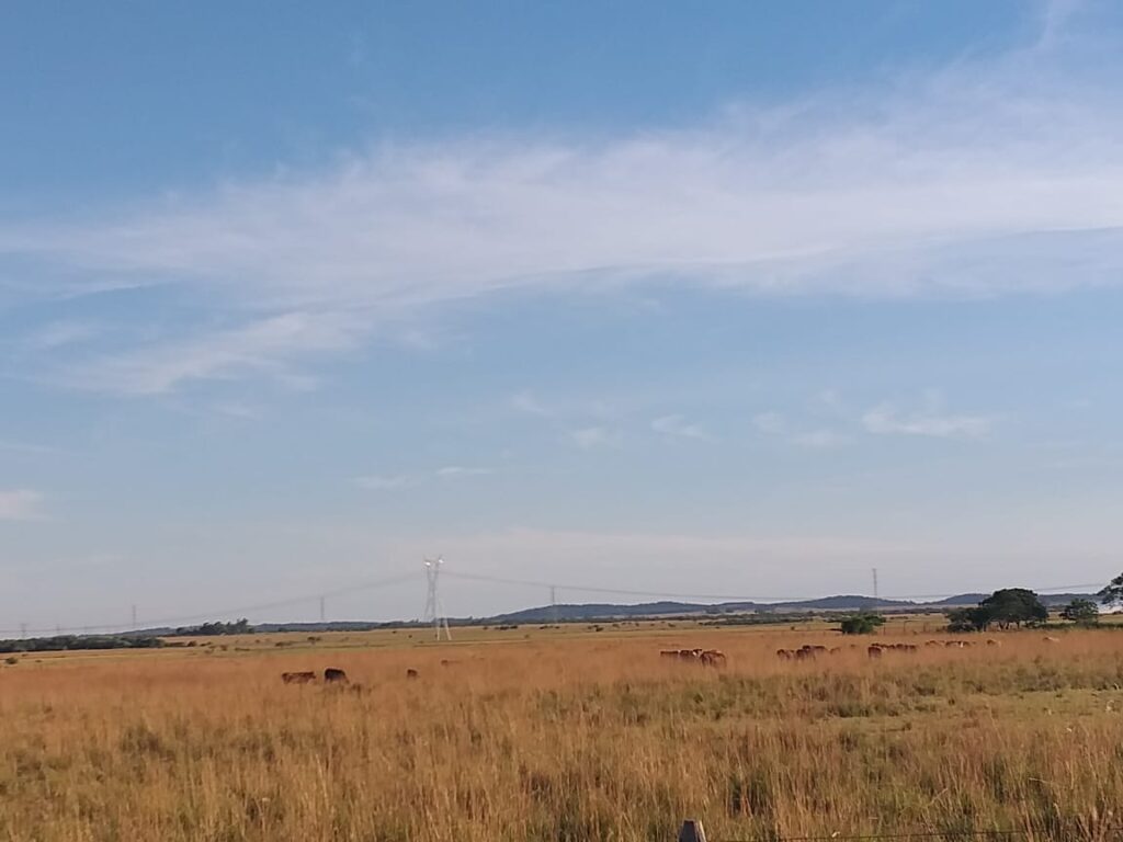 305 ha Hotel rural en San Miguel