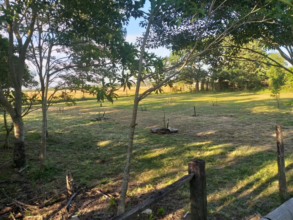 305 ha Hotel rural en San Miguel